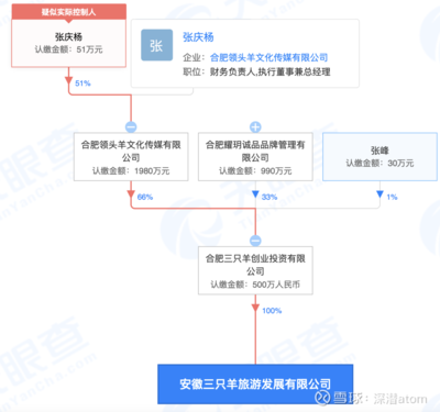 瘋狂小楊哥成立三只羊旅游公司